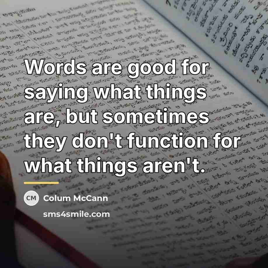 “Words are good for saying what things are, but sometimes…” quote by Colum McCann