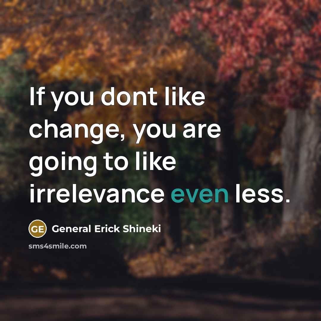 “If you dont like change, you are going to like irrelevance even less.” quote by General Erick Shineki