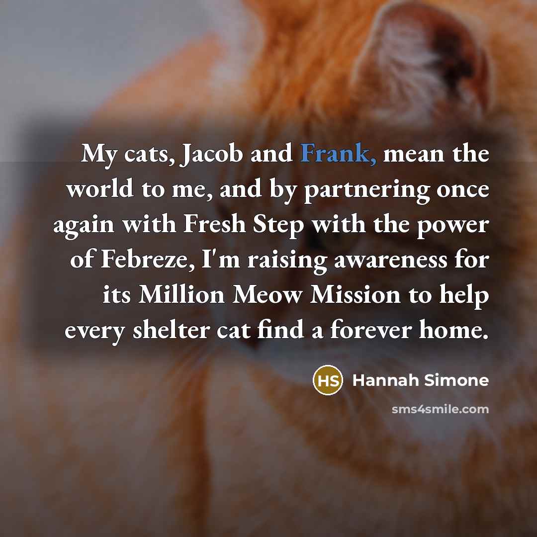 “My cats, Jacob and Frank, mean the world to me,…” quote by Hannah Simone