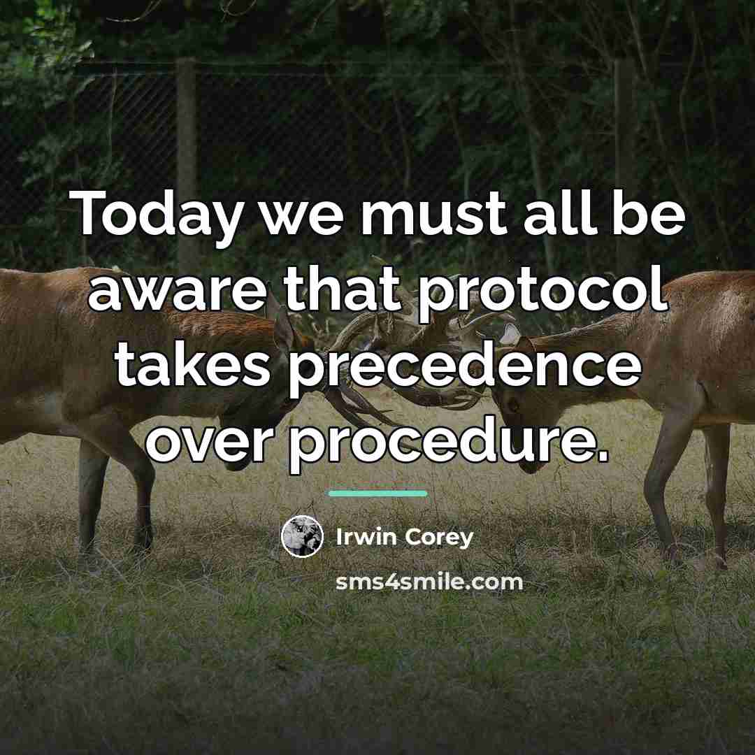 “Today we must all be aware that protocol takes precedence…” quote by Irwin Corey