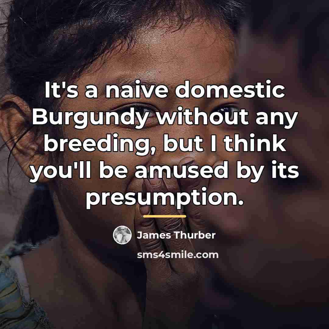 “It's a naive domestic Burgundy without any breeding, but I…” quote by James Thurber