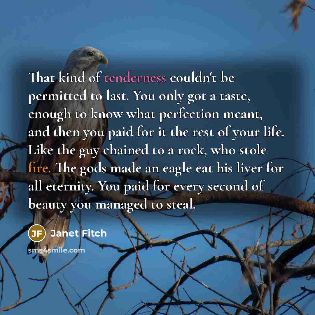 “That kind of tenderness couldn't be permitted to last. You…” quote by Janet Fitch