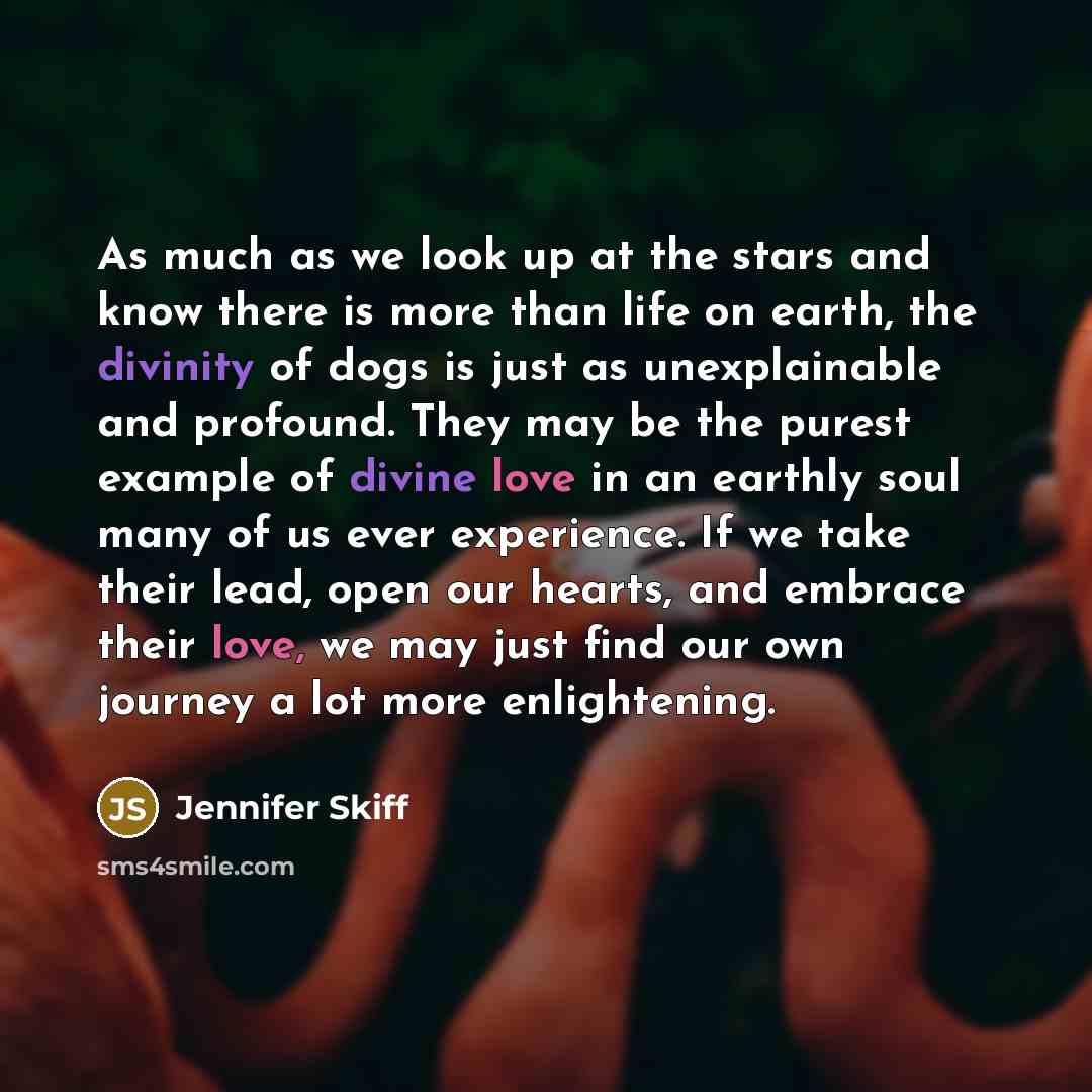 “As much as we look up at the stars and know there is more than life on earth, the divinity of dogs is just as unexplainable and profound. They may be the purest example of divine love in an earthly soul many of us ever experience. If we take their lead, open our hearts, and embrace their love, we…” quote by Jennifer Skiff