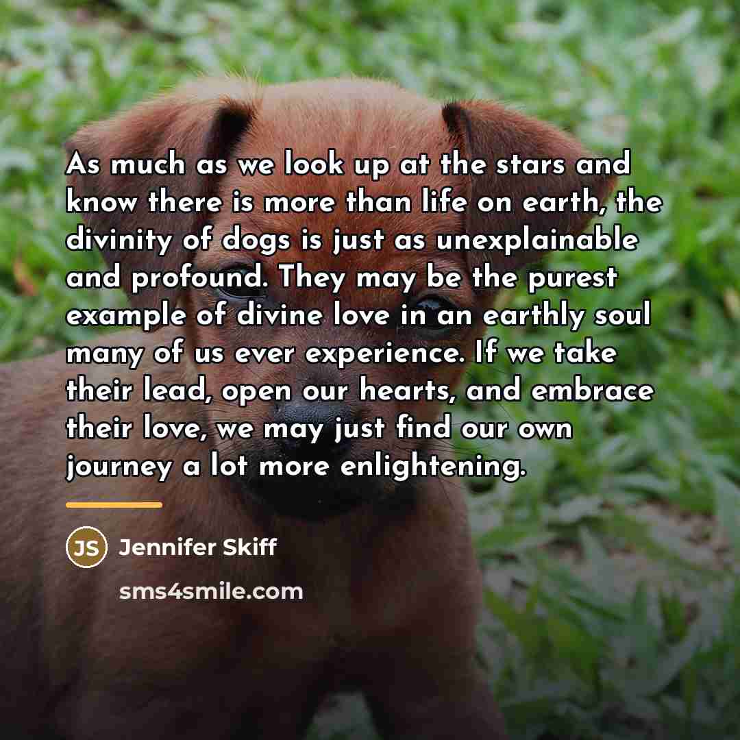 “As much as we look up at the stars and…” quote by Jennifer Skiff