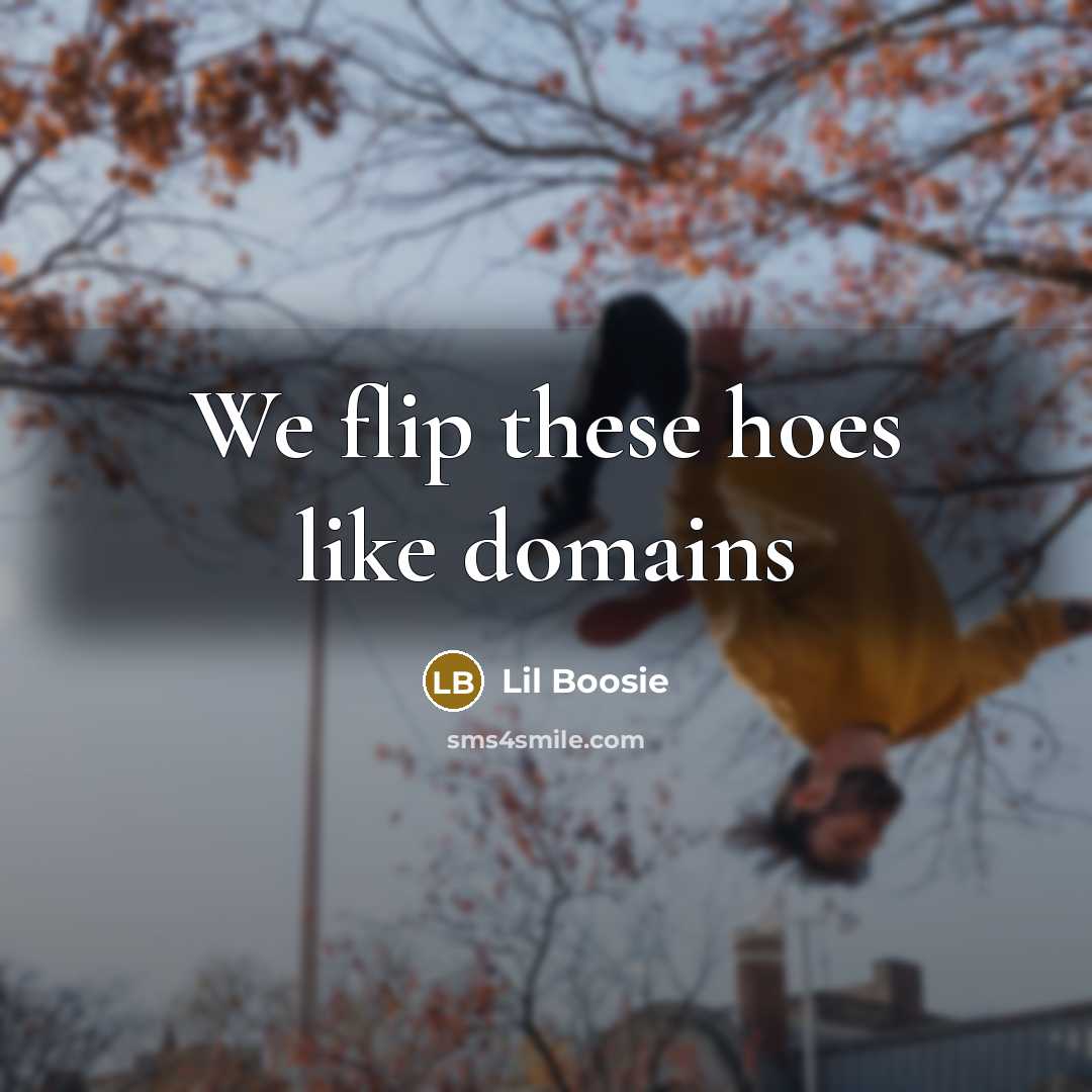 “We flip these hoes like domains…” quote by Lil Boosie