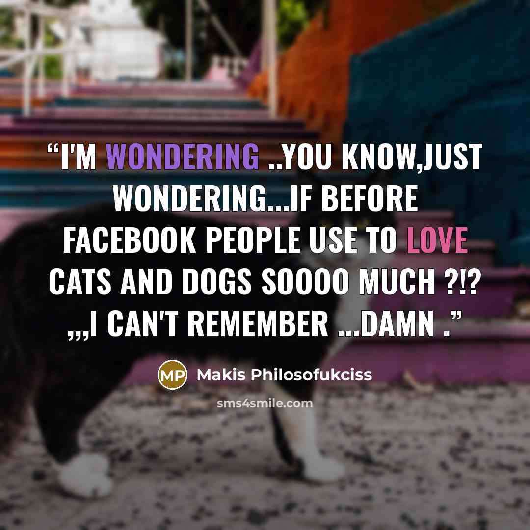 “I'm wondering ..you know,just wondering...if before facebook people use to love cats and dogs soooo much ?!? ,,,I can't remember ...damn .” quote by Makis Philosofukciss