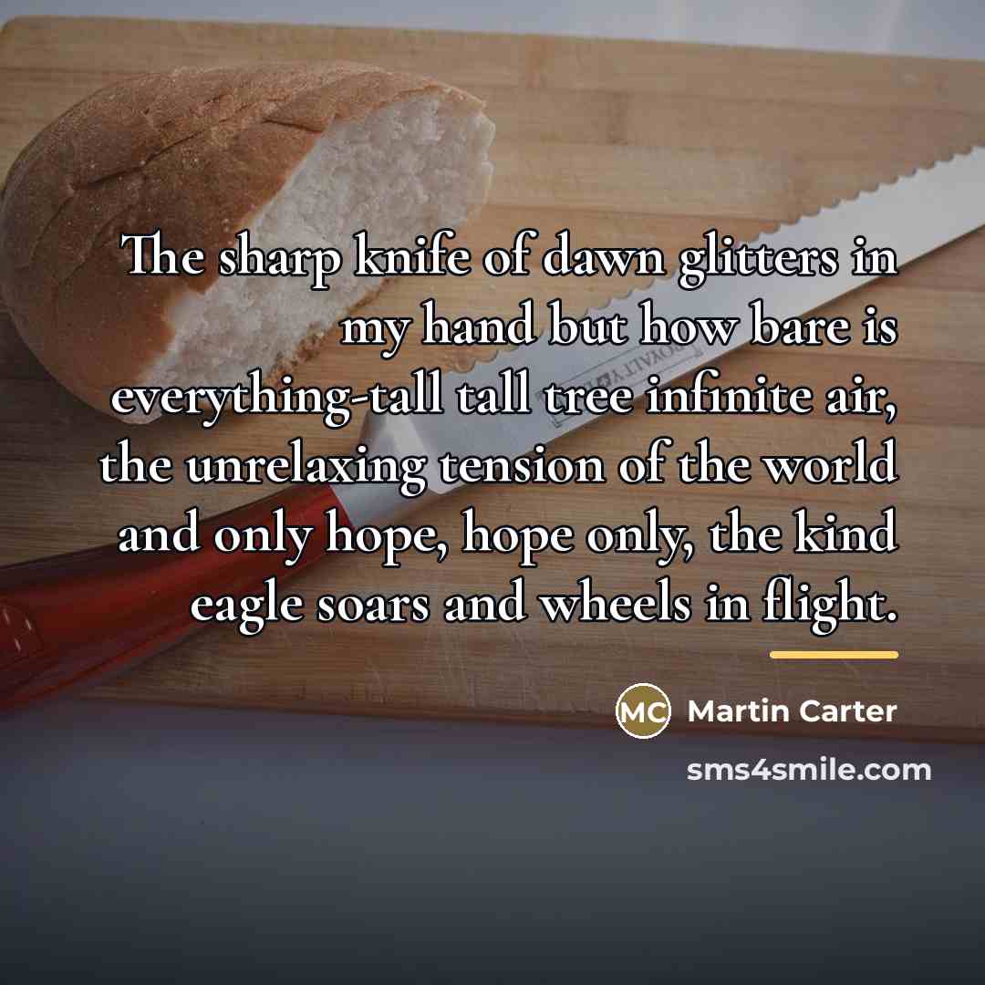 “The sharp knife of dawn glitters in my hand but…” quote by Martin Carter