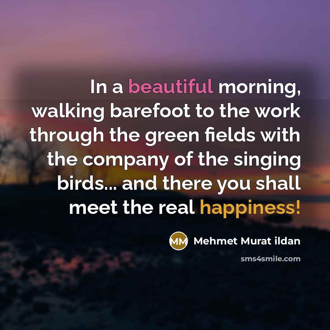“In a beautiful morning, walking barefoot to the work through…” quote by Mehmet Murat Ildan