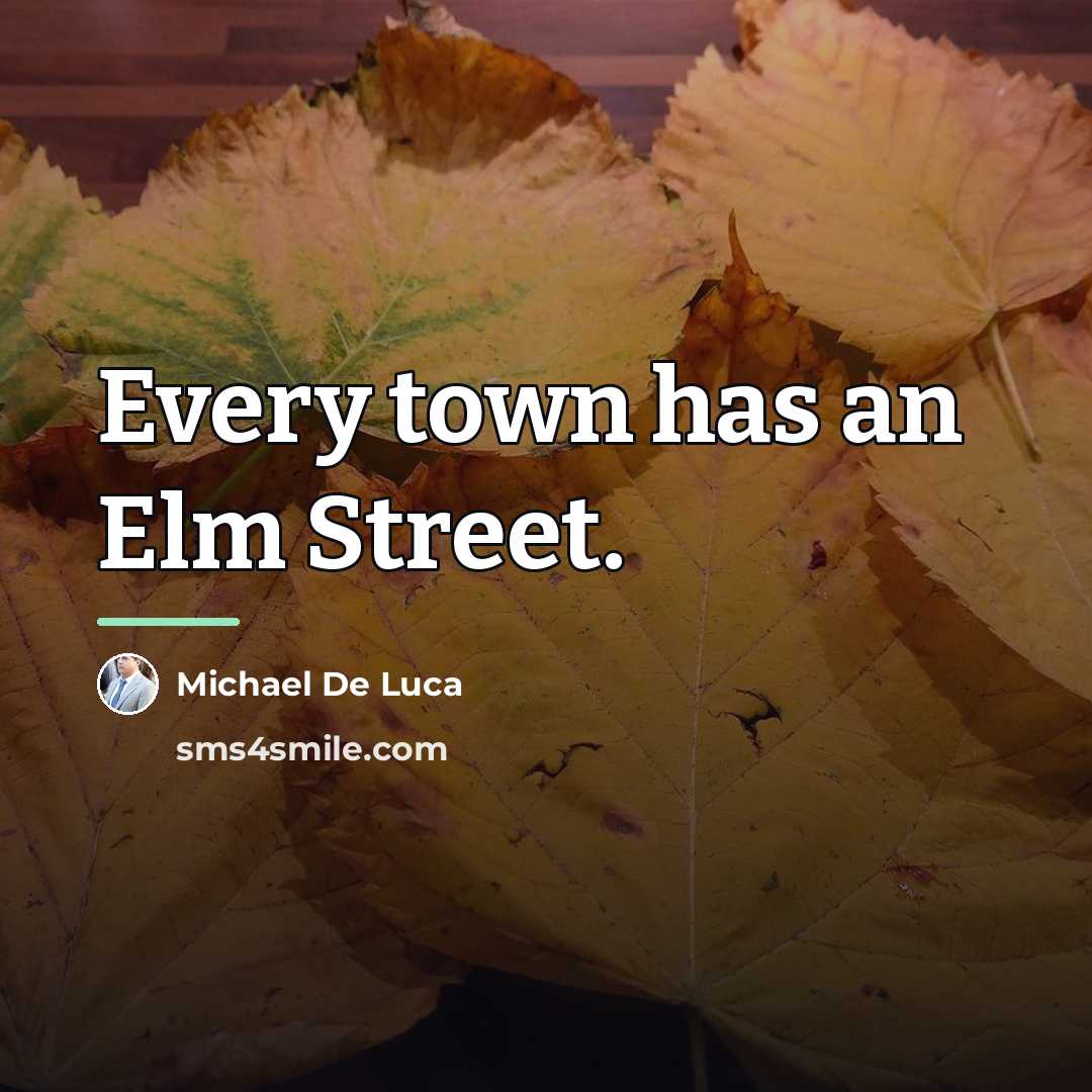 “Every town has an Elm Street.…” quote by Michael De Luca