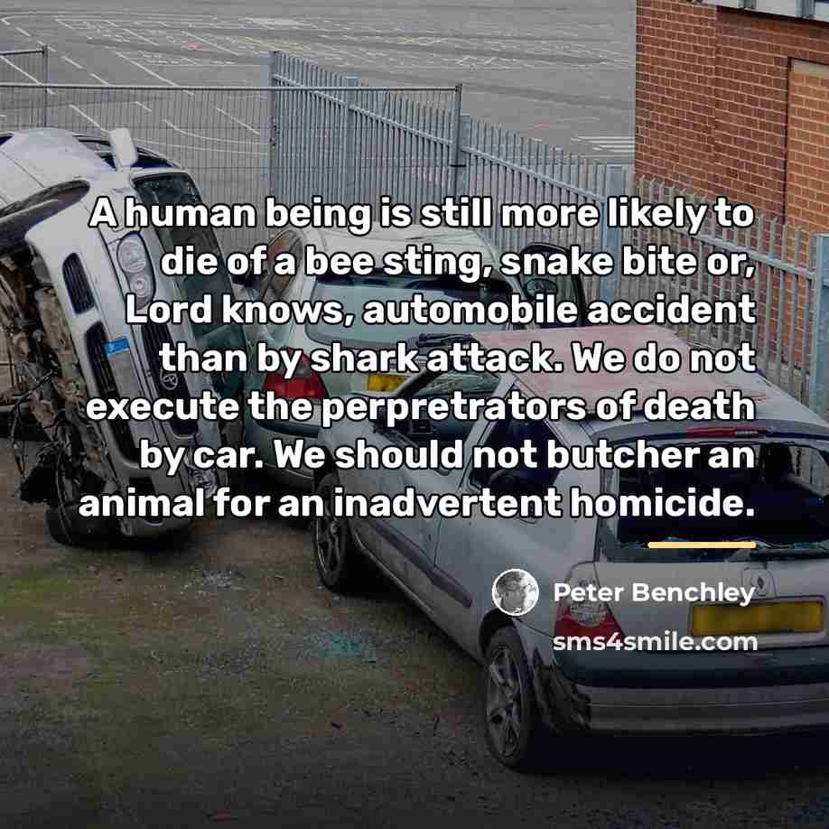 “A human being is still more likely to die of…” quote by Peter Benchley