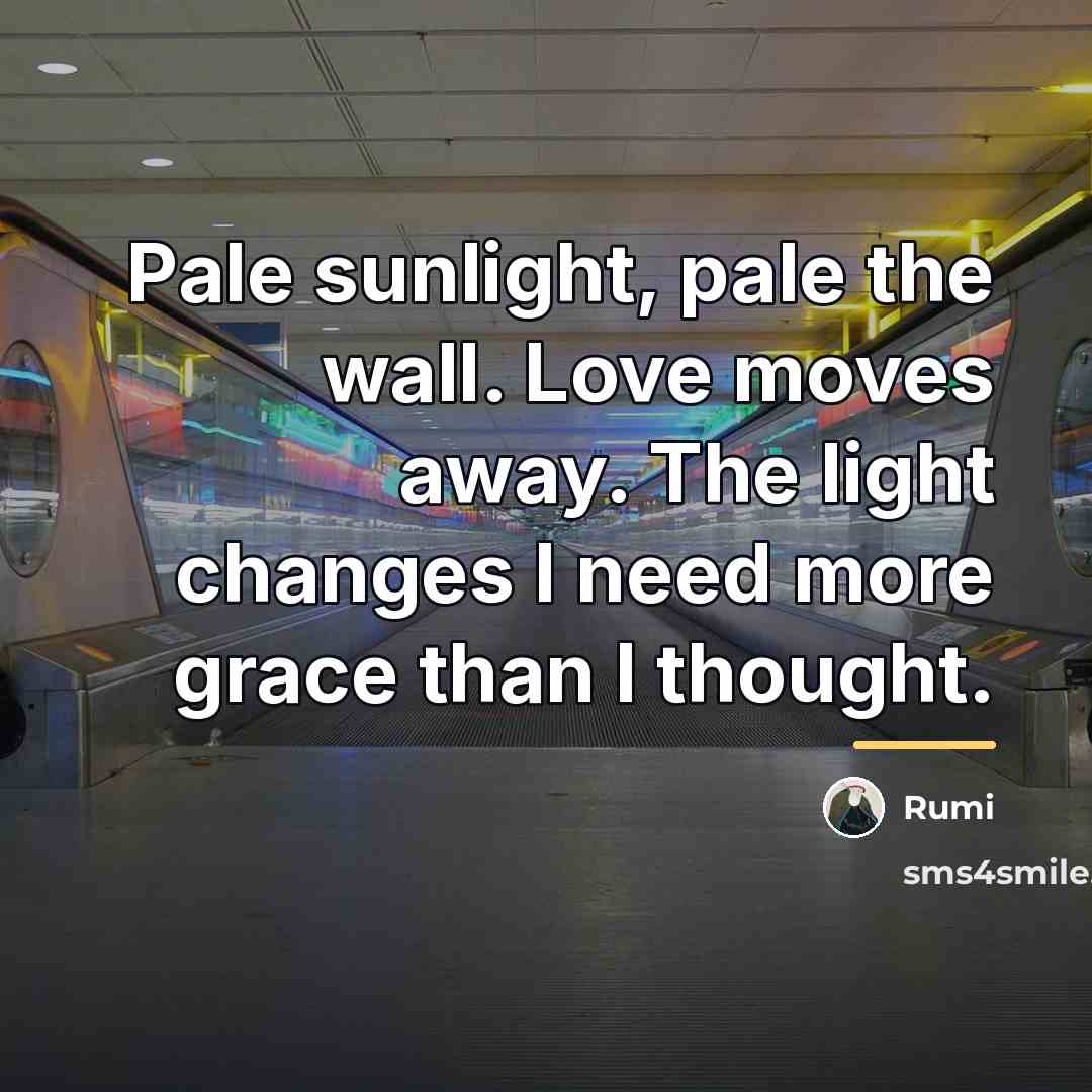“Pale sunlight, pale the wall. Love moves away. The light…” quote by Rumi