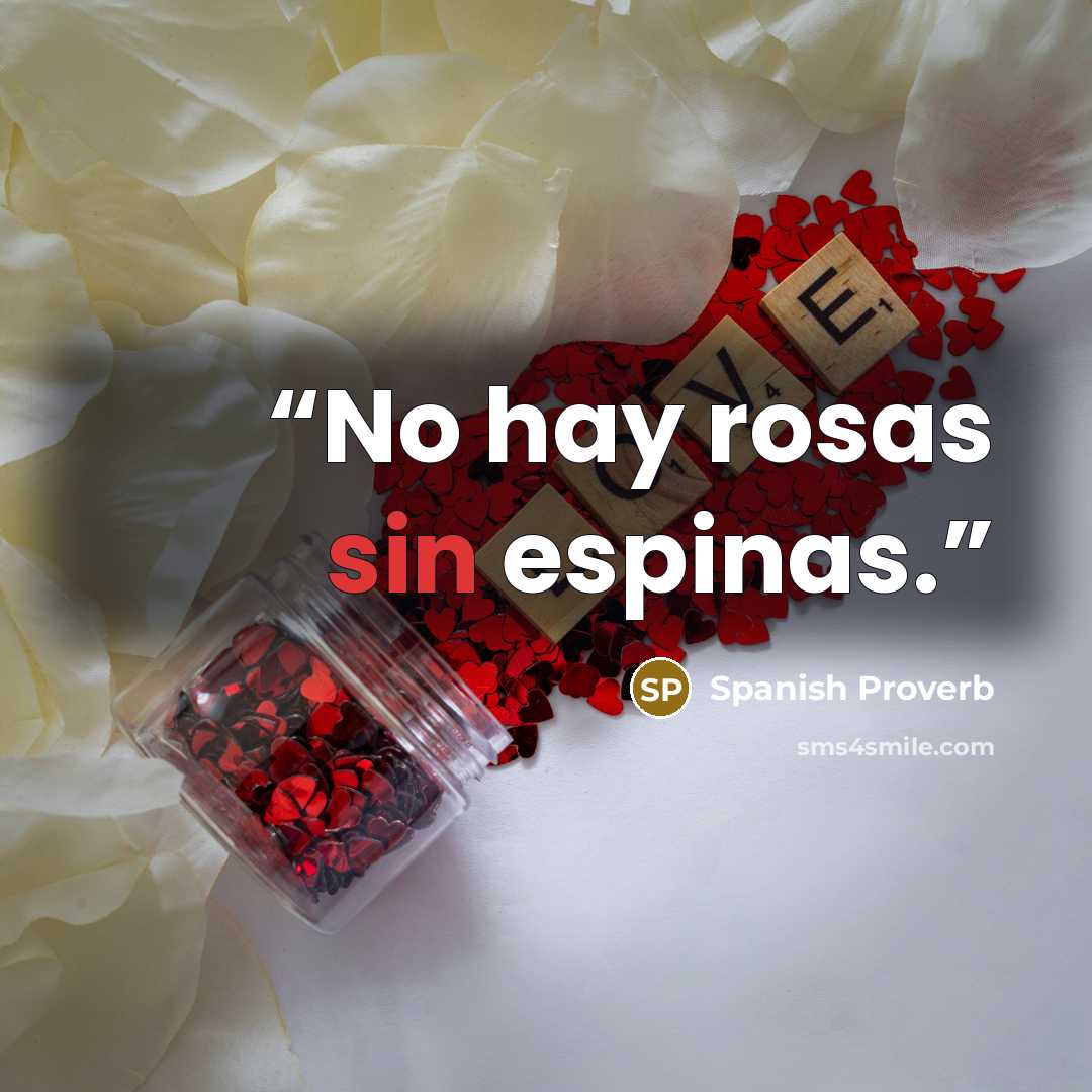 “No hay rosas sin espinas.” quote by Spanish Proverb