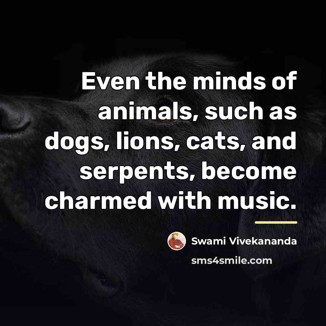 “Even the minds of animals, such as dogs, lions, cats,…” quote by Swami Vivekananda