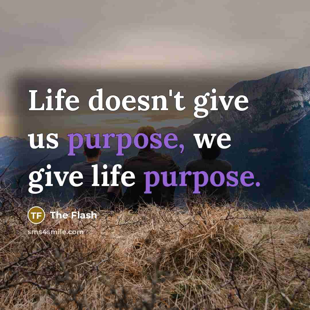“Life doesn't give us purpose, we give life purpose.” quote by The Flash