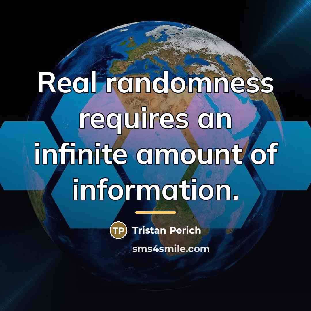 “Real randomness requires an infinite amount of information.…” quote by Tristan Perich