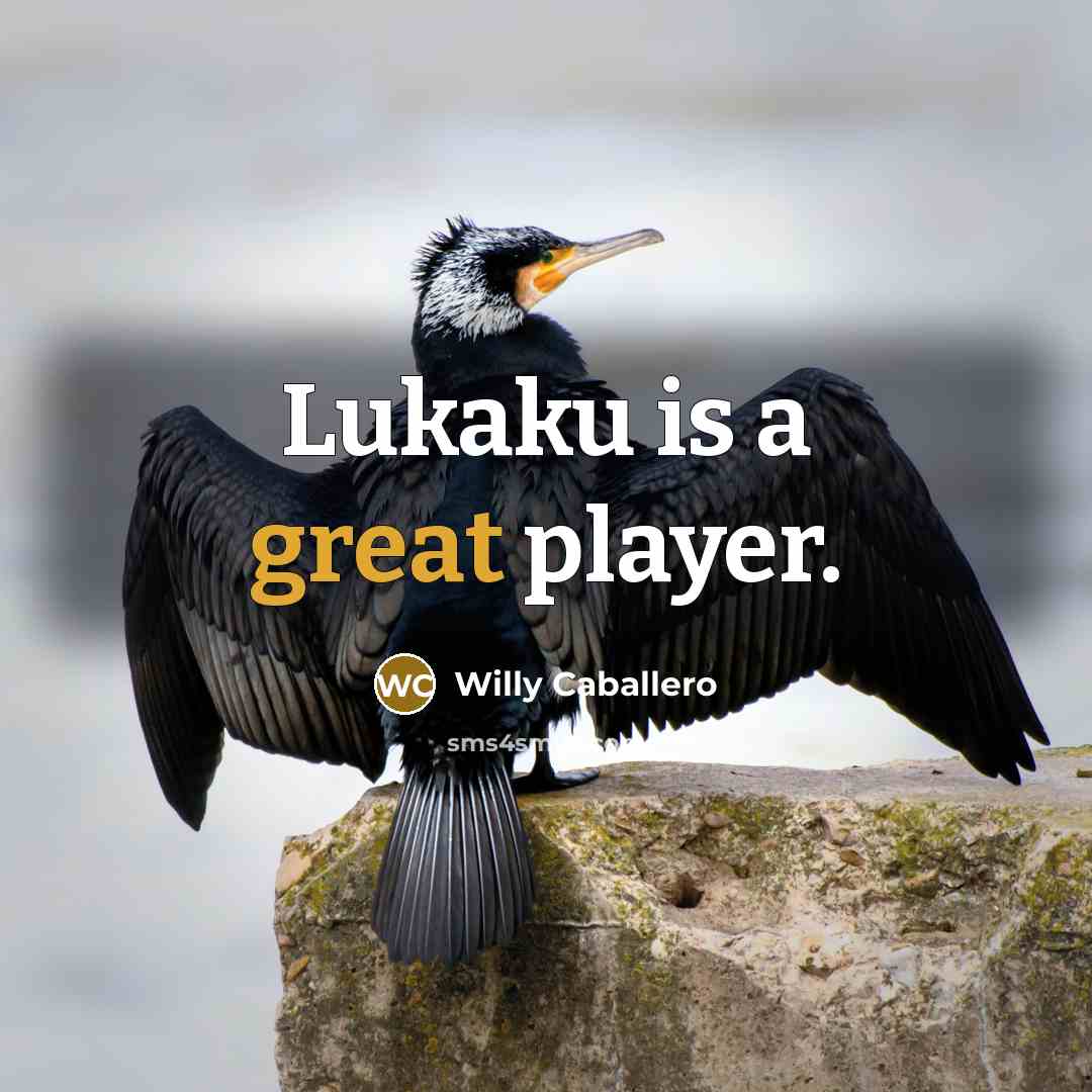 “Lukaku is a great player.” quote by Willy Caballero