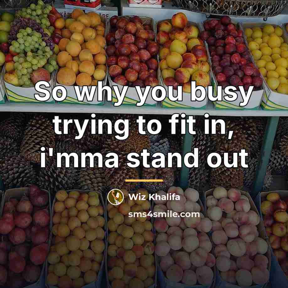 “So why you busy trying to fit in, i'mma stand…” quote by Wiz Khalifa