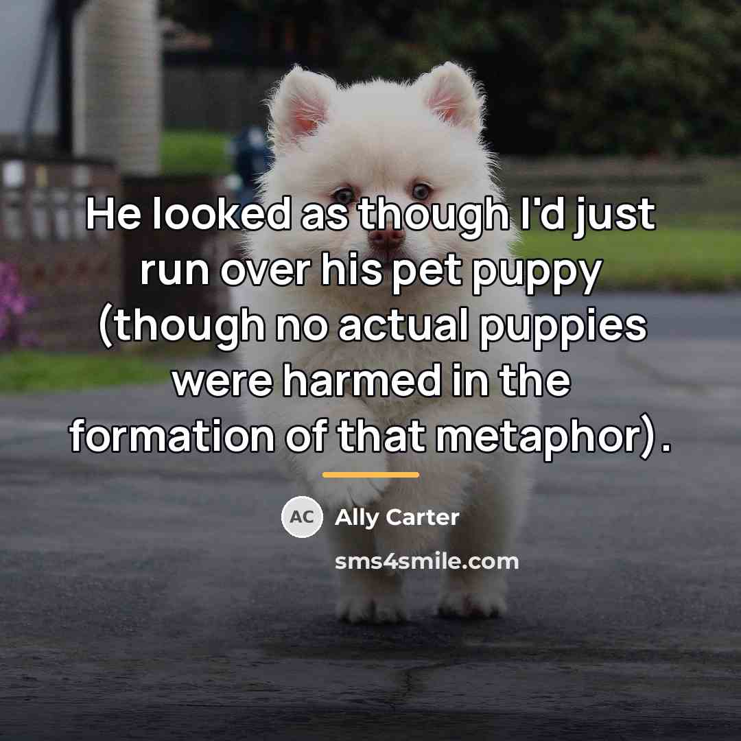 “He looked as though I'd just run over his pet…” quote by Ally Carter