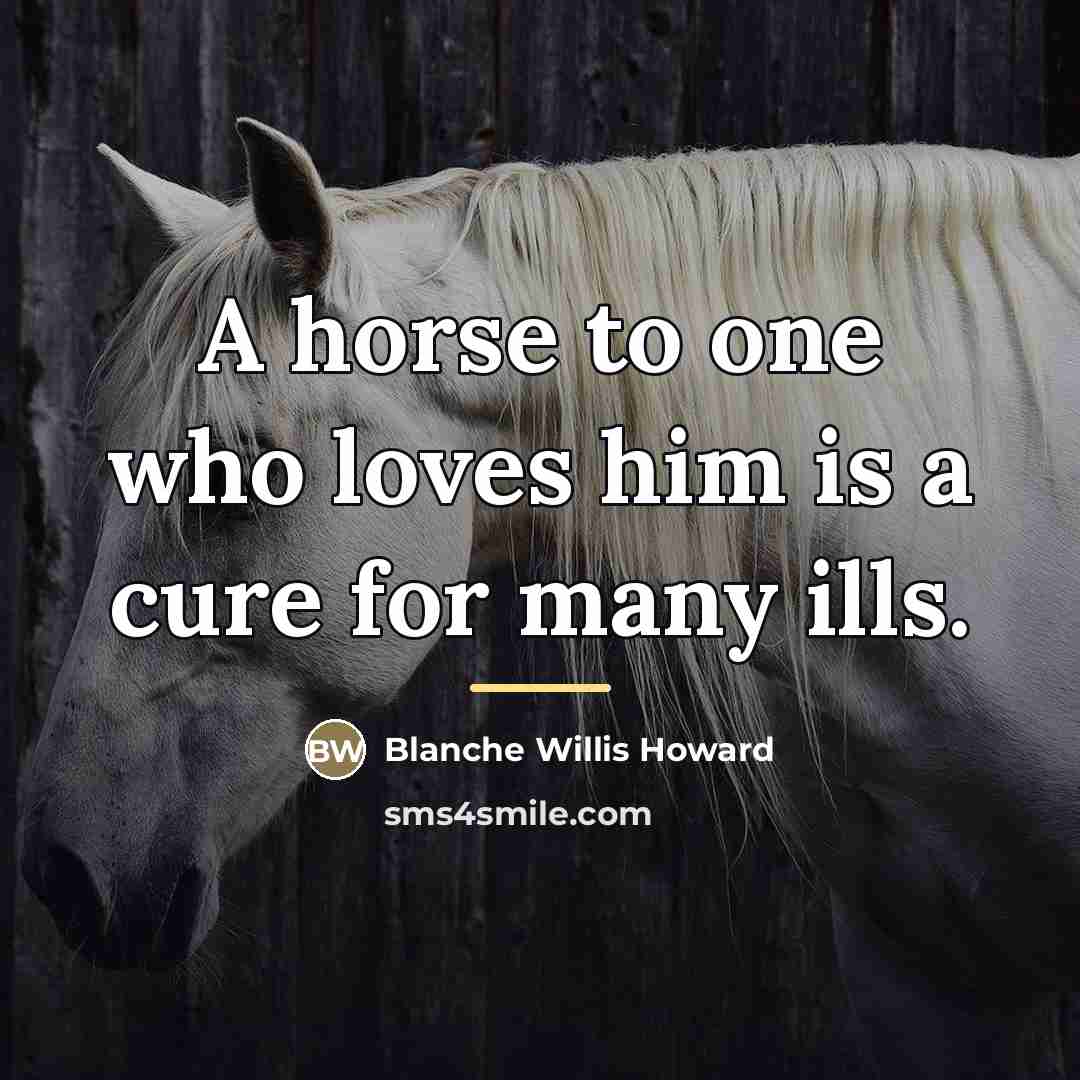 “A horse to one who loves him is a cure…” quote by Blanche Willis Howard