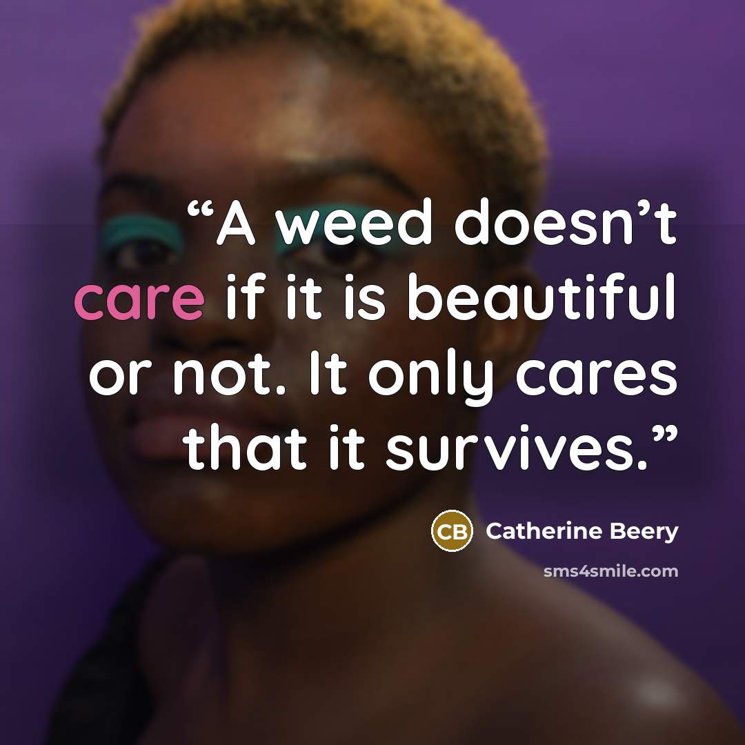 “A weed doesn’t care if it is beautiful or not. It only cares that it survives.” quote by Catherine Beery