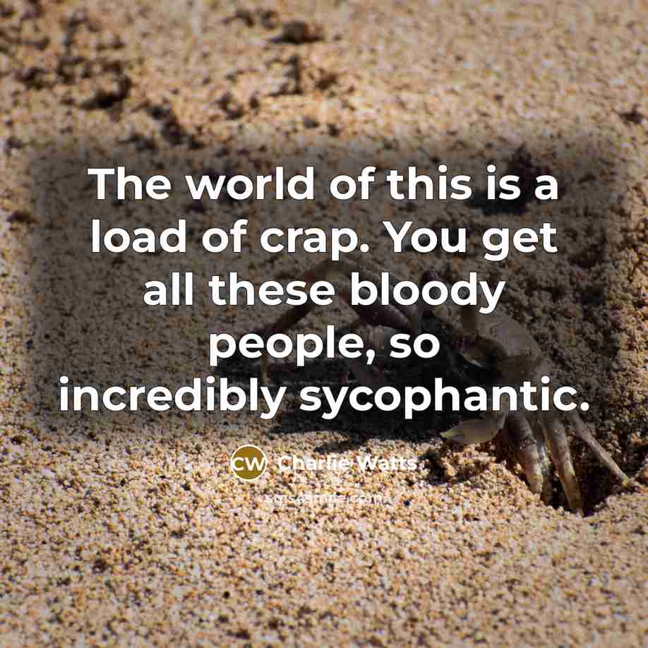 “The world of this is a load of crap. You…” quote by Charlie Watts
