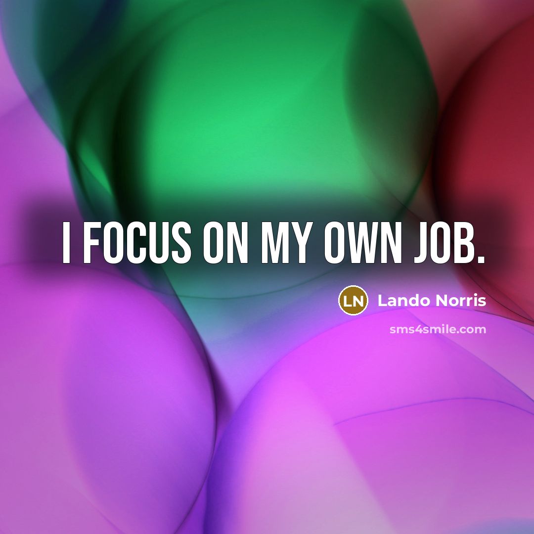 “I focus on my own job.…” quote by Lando Norris
