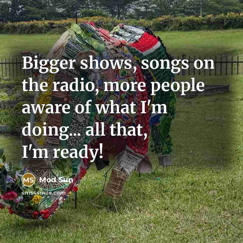 “Bigger shows, songs on the radio, more people aware of…” quote by Mod Sun
