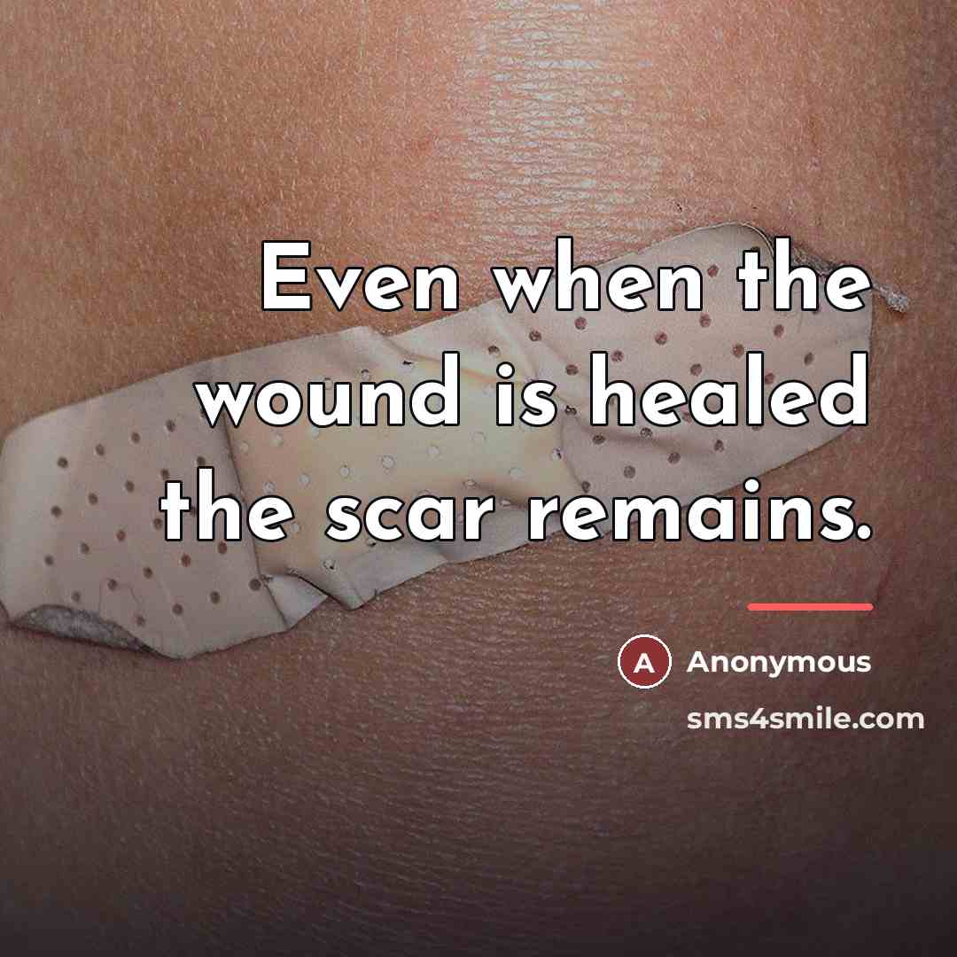 “Even when the wound is healed the scar remains.…” quote by Anonymous