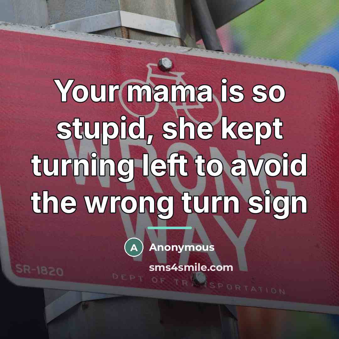 “Your mama is so stupid, she kept turning left to…” quote by Anonymous
