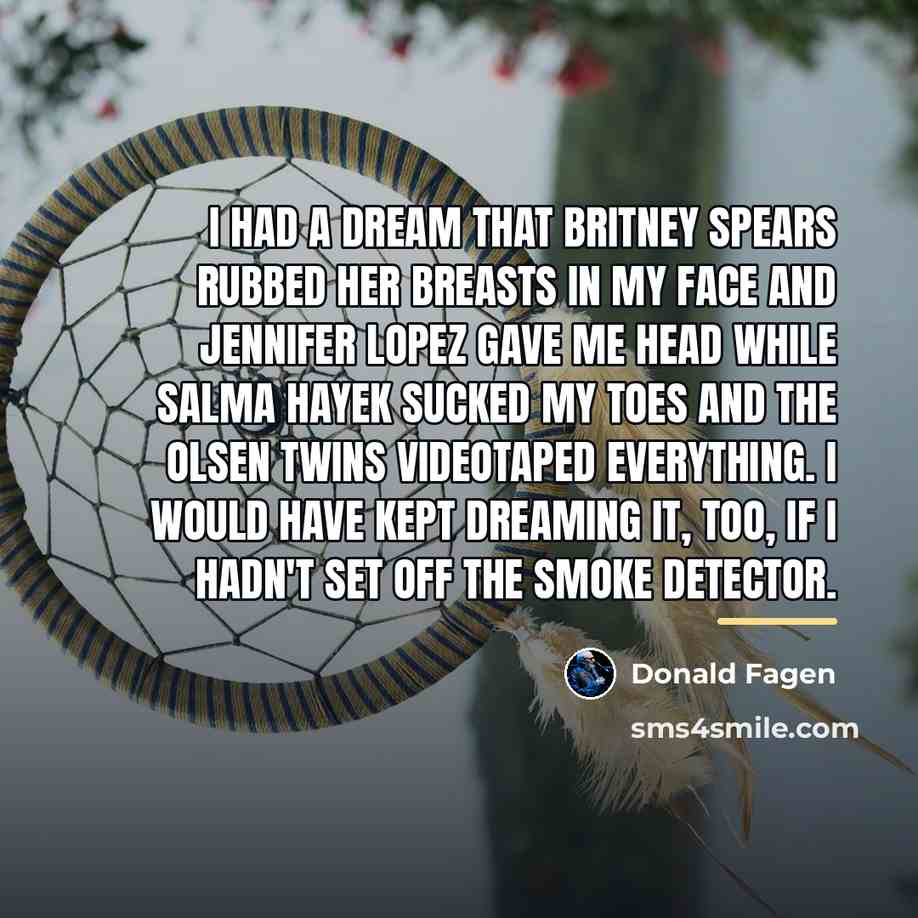 “I had a dream that Britney Spears rubbed her breasts…” quote by Donald Fagen