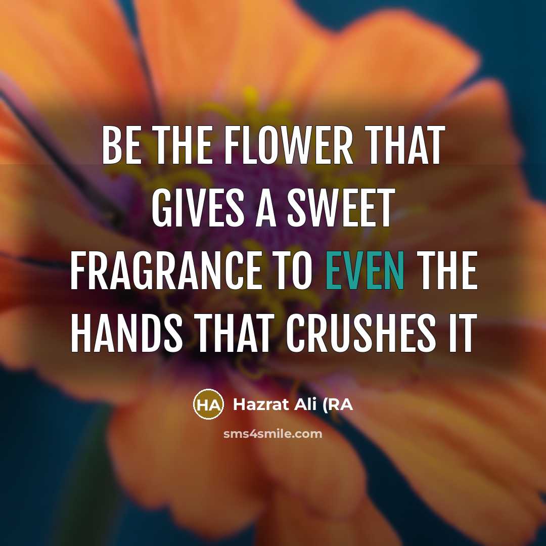 “Be the flower that gives a sweet fragrance to even…” quote by Hazrat Ali (RA