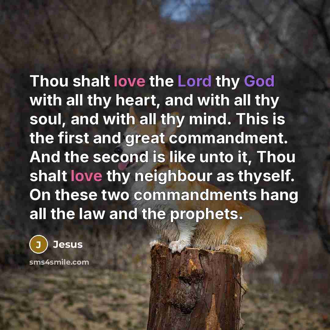 “Thou shalt love the Lord thy God with all thy heart, and with all thy soul, and with all thy mind. This is the first and great commandment. And the second is like unto it, Thou shalt love thy neighbour as thyself. On these two commandments hang all the law and the prophets.” quote by Jesus