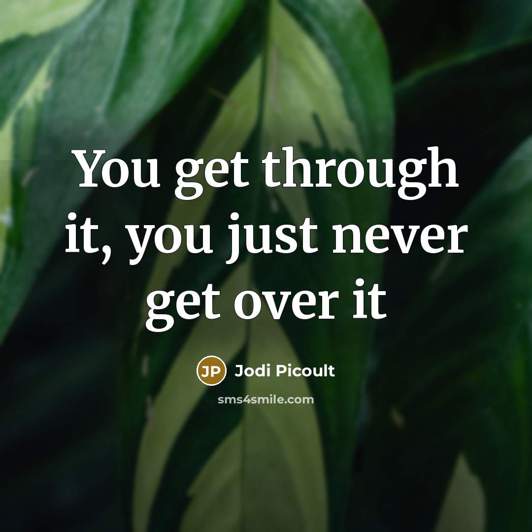 “You get through it, you just never get over it…” quote by Jodi Picoult