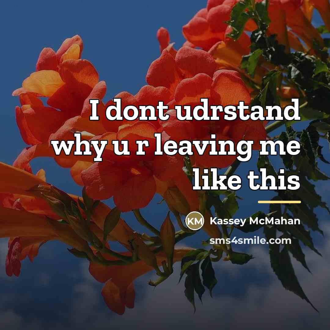 “I dont udrstand why u r leaving me like this…” quote by Kassey Mcmahan
