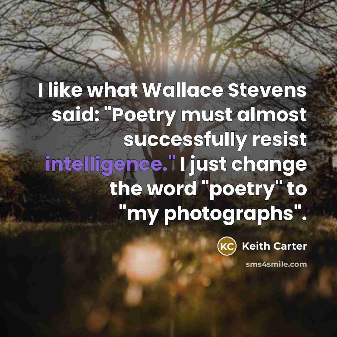 “I like what Wallace Stevens said: "Poetry must almost successfully…” quote by Keith Carter