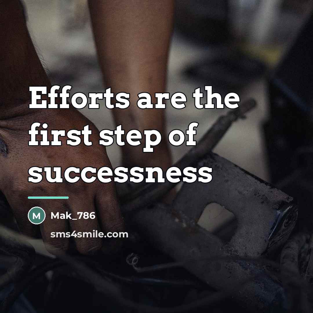 “Efforts are the first step of successness…” quote by Mak_786