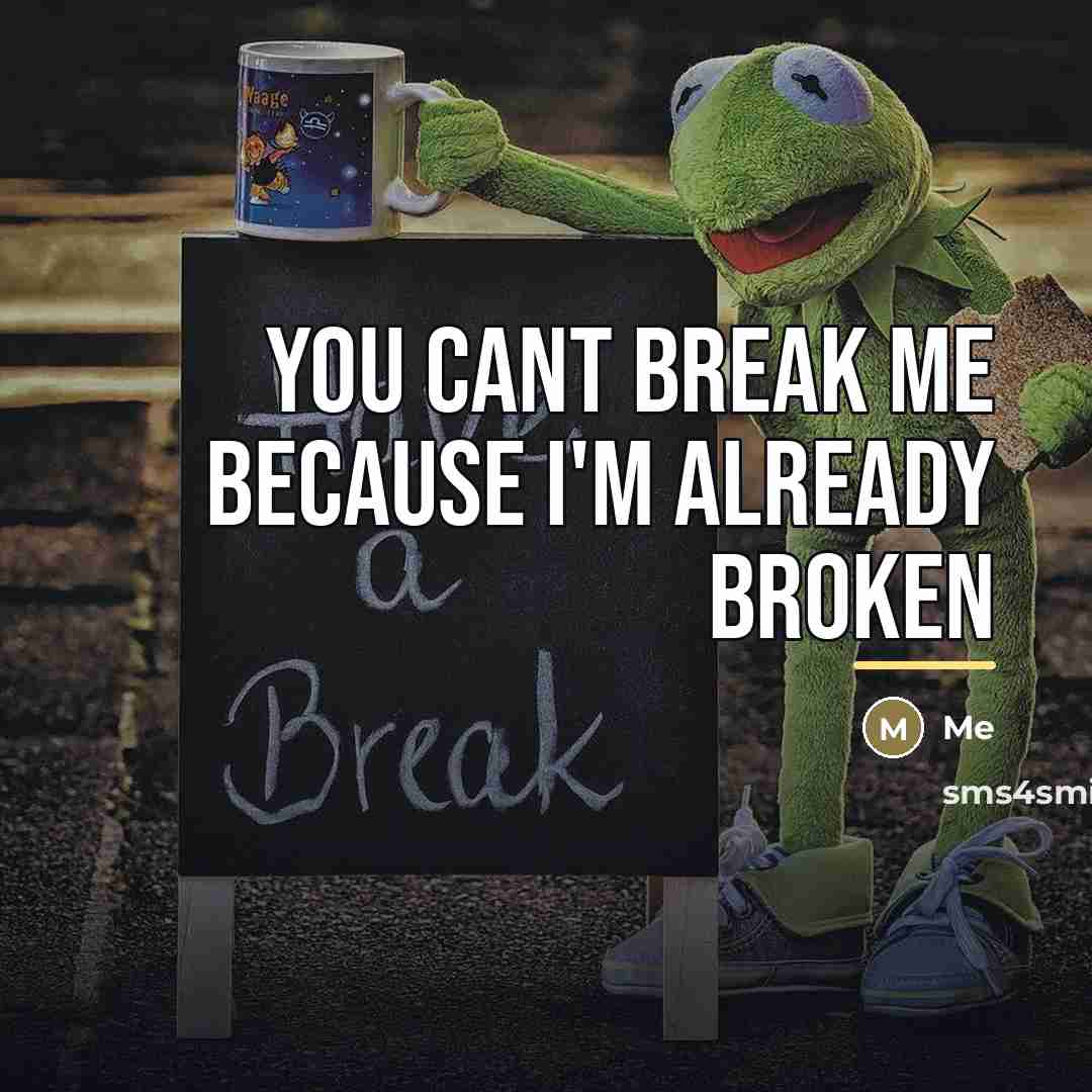“You cant break me because I'm already broken…” quote by Me