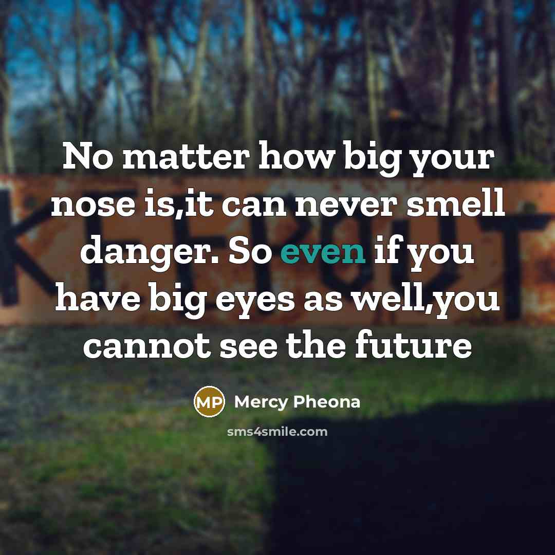“No matter how big your nose is,it can never smell…” quote by MERCY PHEONA