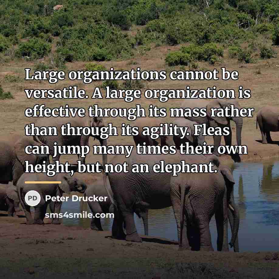“Large organizations cannot be versatile. A large organization is effective…” quote by Peter Drucker