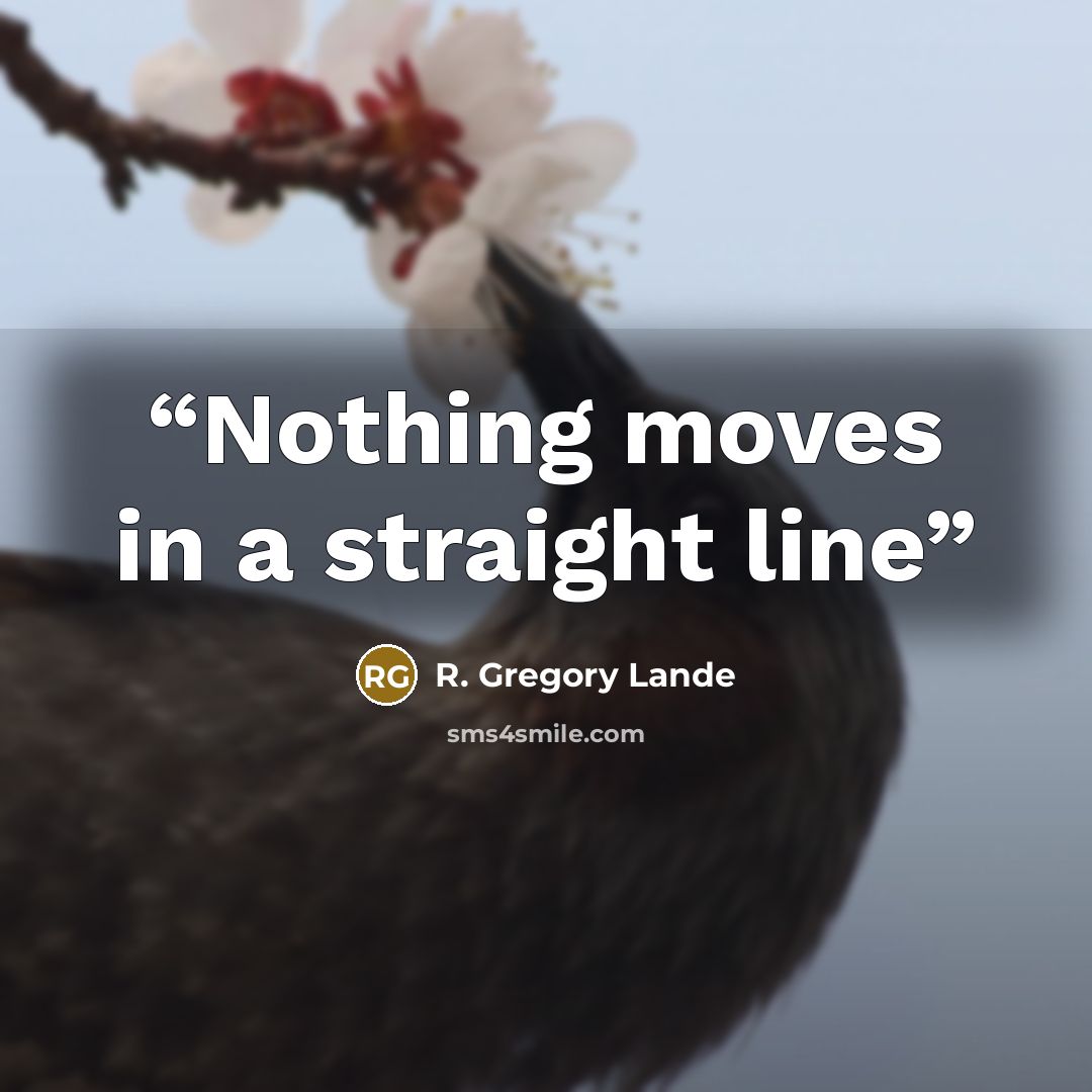 “Nothing moves in a straight line” quote by R. Gregory Lande