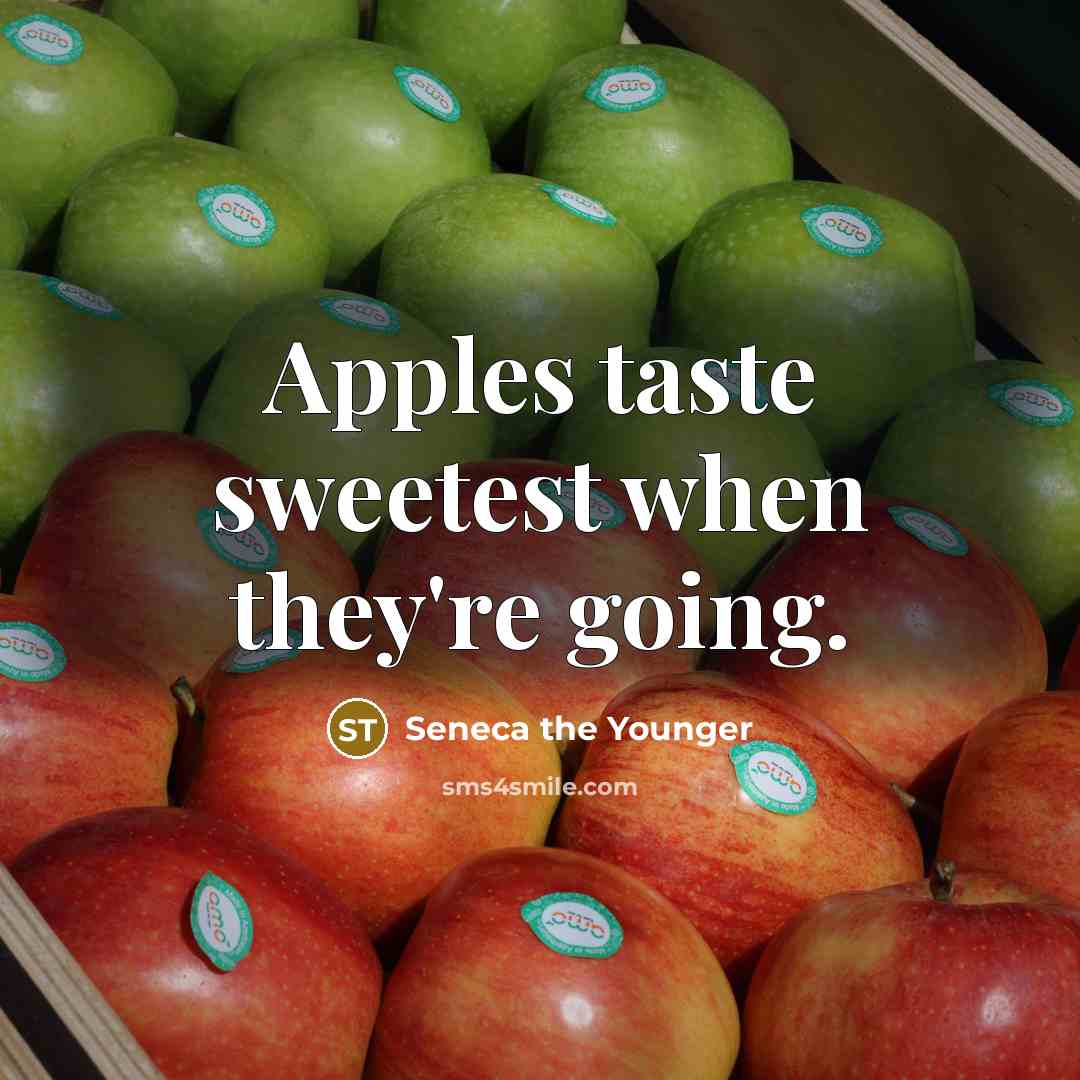 “Apples taste sweetest when they're going.…” quote by Seneca the Younger