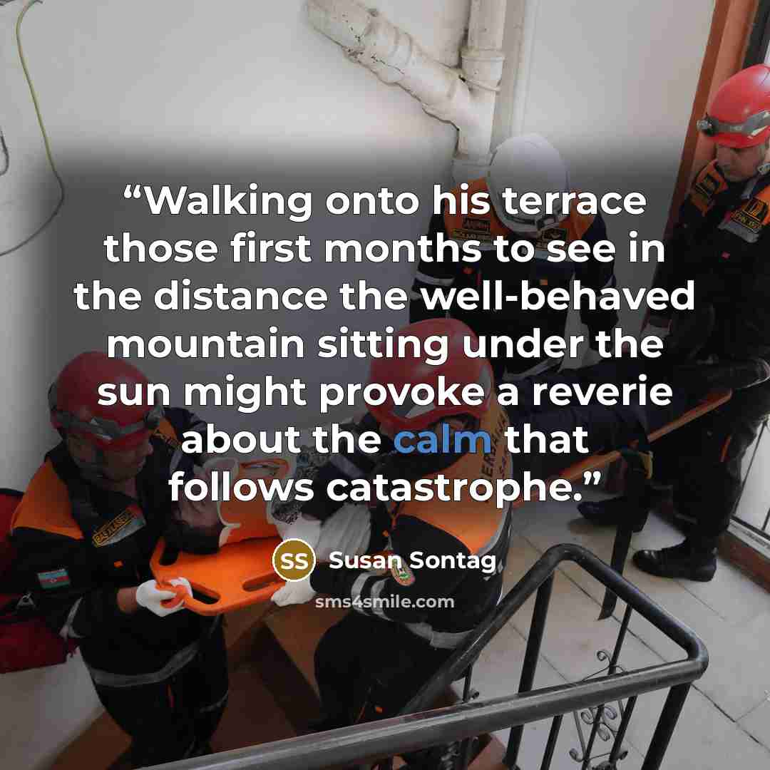 “Walking onto his terrace those first months to see in the distance the well-behaved mountain sitting under the sun might provoke a reverie about the calm that follows catastrophe.” quote by Susan Sontag