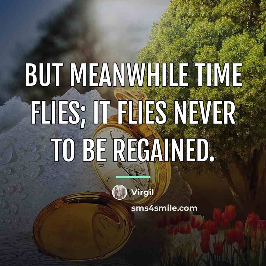 “But meanwhile time flies; it flies never to be regained.…” quote by Virgil