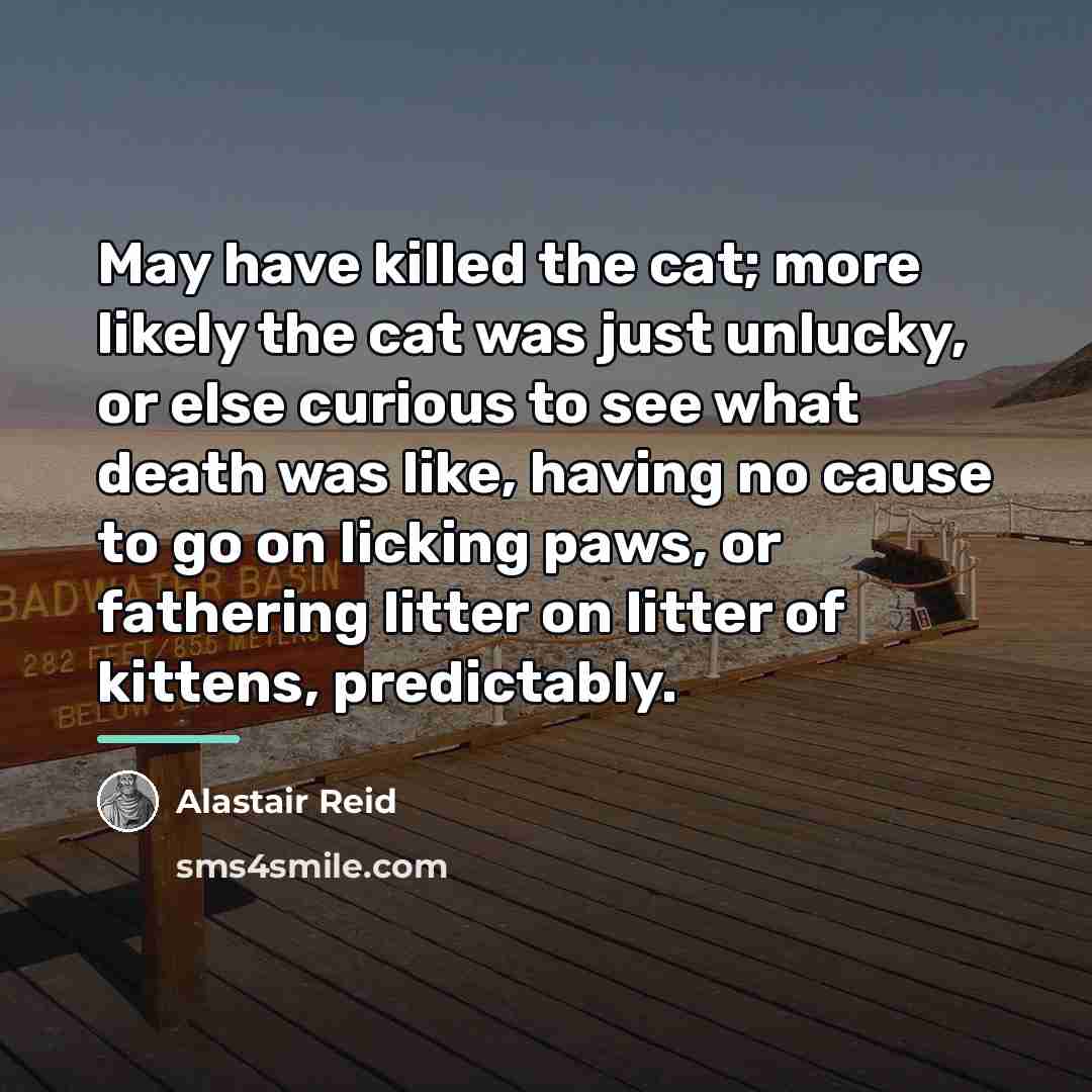 “May have killed the cat; more likely the cat was…” quote by Alastair Reid