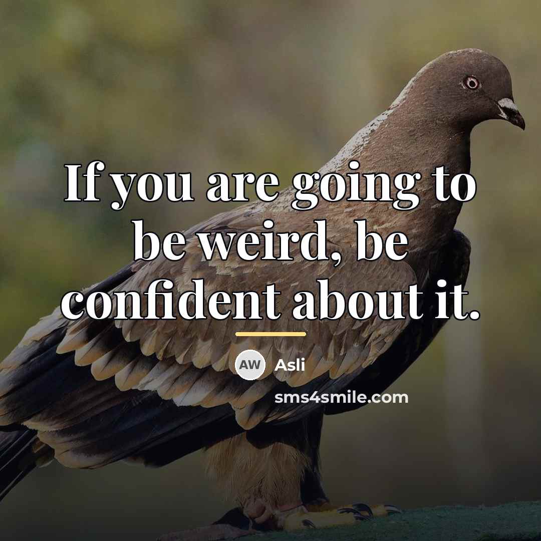 “If you are going to be weird, be confident about…” quote by Asli
