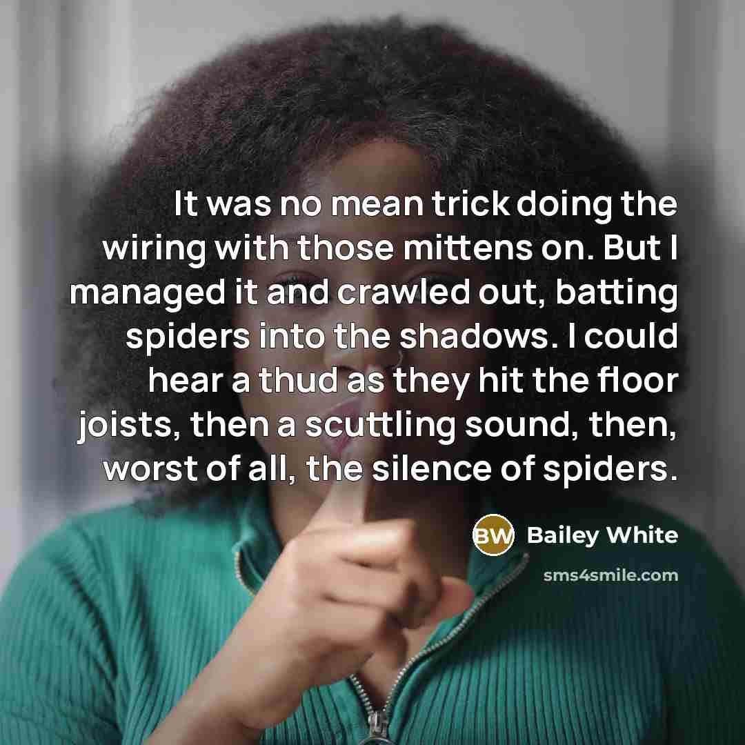 “It was no mean trick doing the wiring with those…” quote by Bailey White