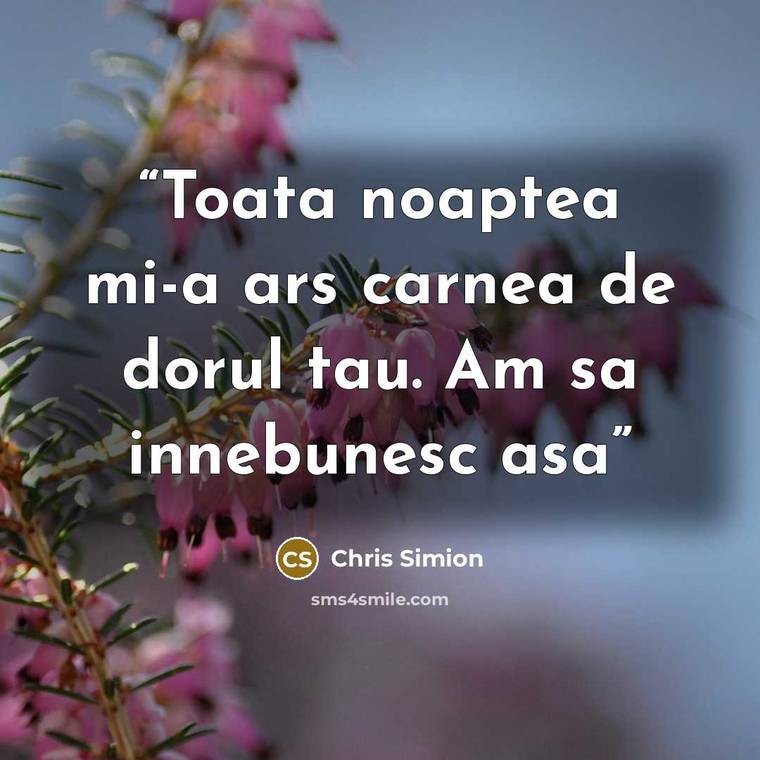 “Toata noaptea mi-a ars carnea de dorul tau. Am sa innebunesc asa” quote by Chris Simion