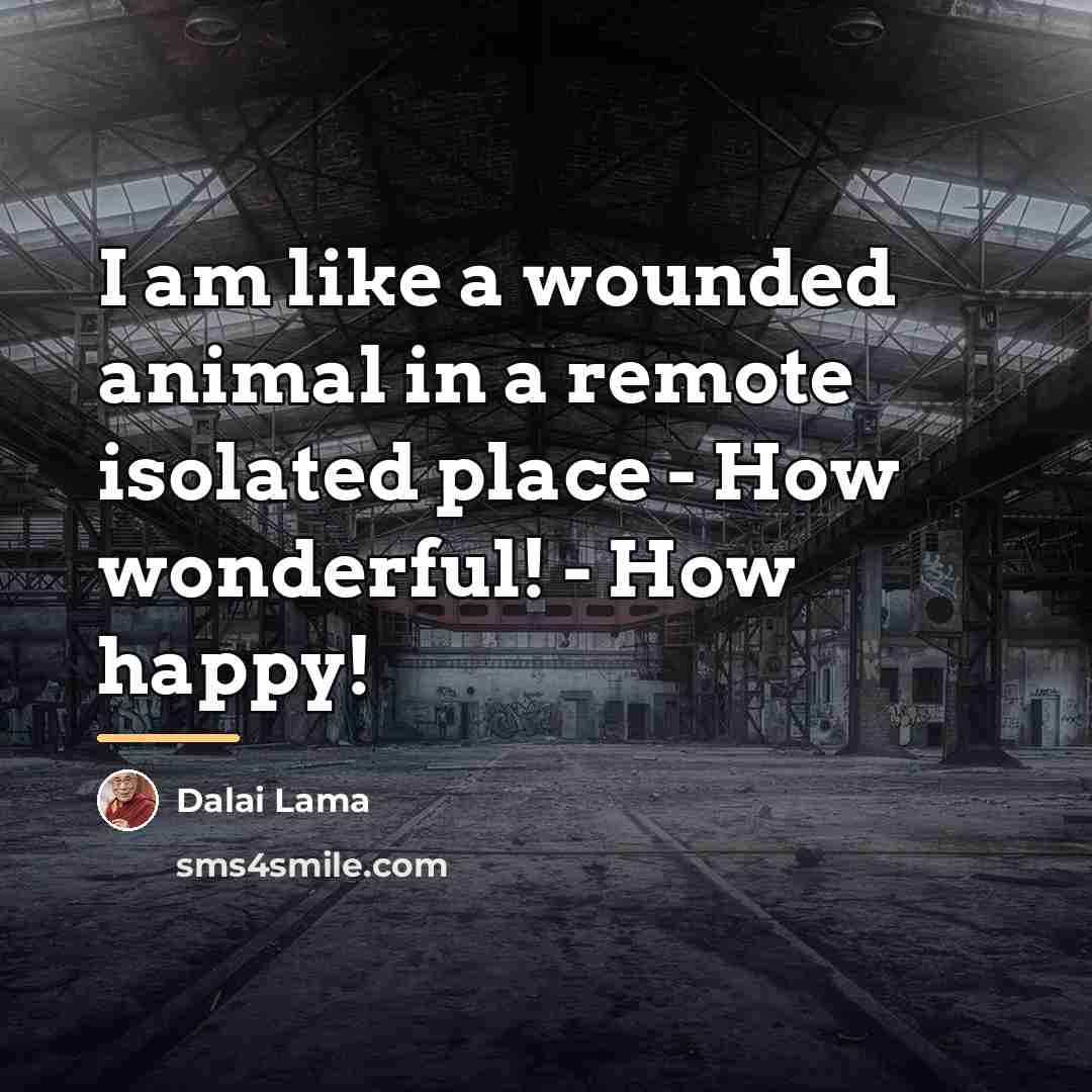 “I am like a wounded animal in a remote isolated…” quote by Dalai Lama