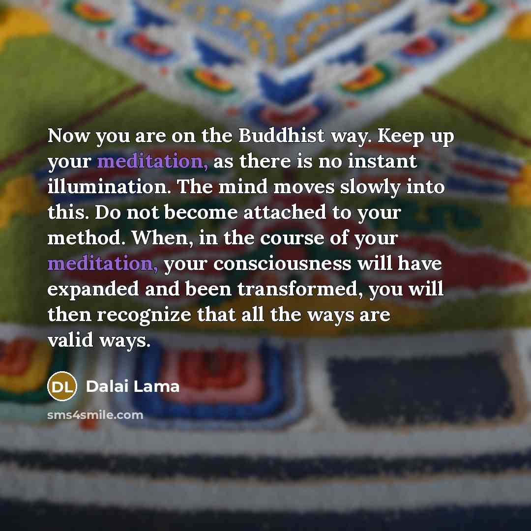 “Now you are on the Buddhist way. Keep up your…” quote by Dalai Lama