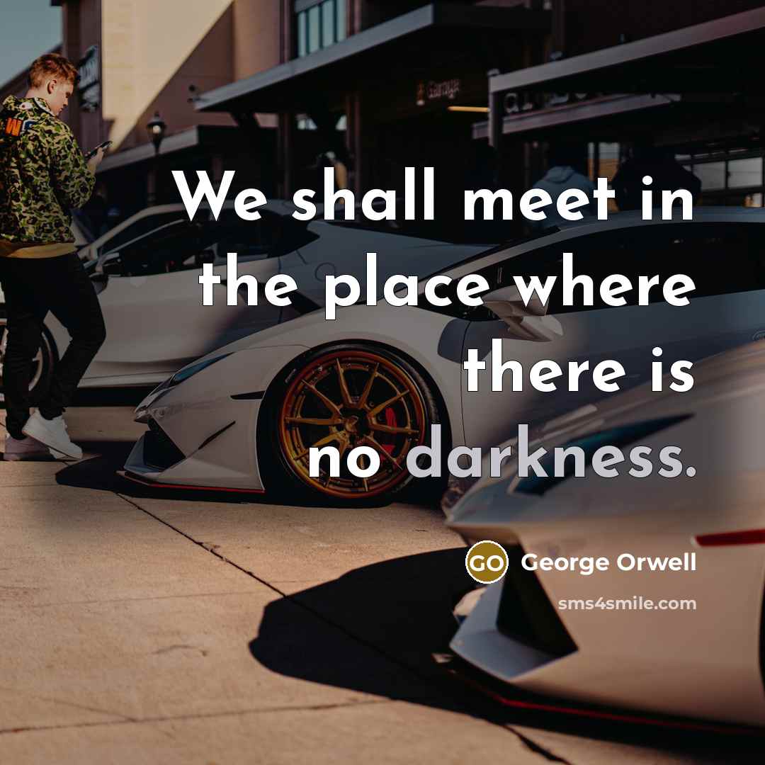 “We shall meet in the place where there is no…” quote by George Orwell
